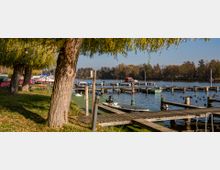 Ein kleiner Hafen an einem See, umgeben von Bäumen mit Herbstlaub. Im Vordergrund stehen Weidenbäume, und schmale Holzstege führen zu Booten, die an den Anlegestellen festgemacht sind; im Hintergrund ist die bewaldete Uferlinie sichtbar.