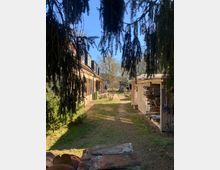 Ein schmaler Hof mit einem Weg aus Gras und Erde, flankiert von einem Gebäude mit Holzfensterläden links und einer Holzkonstruktion rechts, die gestapelte Gegenstände enthält. Im Hintergrund sind Bäume und ein weiteres Gebäude zu sehen, während Äste von Nadelbäumen den oberen Bildrand einrahmen.