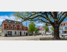 Platz in einer Kleinstadt mit einem großen Baum im Vordergrund. Um den Platz stehen historische Gebäude mit roten Ziegelfassaden und weißen Akzenten sowie moderne Wohnhäuser, während im Hintergrund Bäume und ein Schornstein zu sehen sind.
