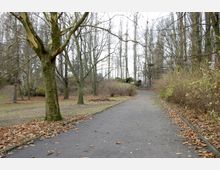 Ein Parkweg im Herbst mit kahlen Bäumen, trockenen, fallenden Blättern auf dem Boden und kahlen Sträuchern entlang des Weges. Im Hintergrund sind weitere Bäume und eine leichte Erhebung zu sehen.