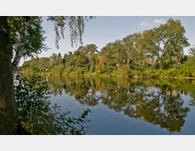 Flussufer mit dichter Vegetation, großen Bäumen und klarem Wasser, in dem sich die Bäume und der Himmel spiegeln; im Vordergrund ist ein Birkenstamm und niedriges Gebüsch zu sehen.