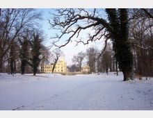 Schloss in einer winterlichen Parklandschaft mit schneebedecktem Boden, umgeben von Bäumen, deren Äste teilweise von Efeu bewachsen sind. Im Hintergrund ist ein gelbes Gebäude mit Türmen und großen Fenstern zu sehen.