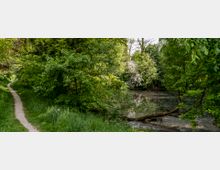 Ein schmaler, unbefestigter Pfad verläuft entlang eines Grasstreifens durch einen dicht bewachsenen Wald. Rechts des Pfades befindet sich ein ruhiger Teich, umgeben von Bäumen und Sträuchern.