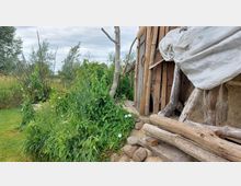 Holzstruktur mit grob verarbeiteten Baumstämmen und überhängender Plane, neben einer dichten Vegetation aus grünen Pflanzen und Blumen. Im Hintergrund sind Bäume und eine natürliche Wiesenlandschaft sichtbar unter bewölktem Himmel.