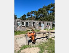 Holzstallgebäude mit mehreren kleinen Fenstern und Türen, umgeben von Bäumen und Wiese. Im Vordergrund steht ein hölzerner Anbindebalken mit einem Sattel und Zaumzeug.
