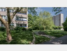 Mehrfamilienhäuser in einer Wohnsiedlung, umgeben von Grünflächen mit Bäumen, Wiesen und einem gepflasterten Fußweg mit Treppenstufen. Im Vordergrund zieht sich ein großer Baum in die Höhe, während im Hintergrund ein mehrstöckiges Wohngebäude sichtbar ist.