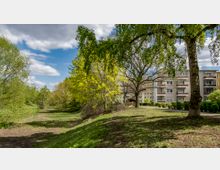 Wohngebiet mit Grünfläche und Gehweg. Im Vordergrund stehen große Bäume und Sträucher, die eine Wiese umgeben, im Hintergrund sind mehrstöckige Wohngebäude mit Balkonen sichtbar.