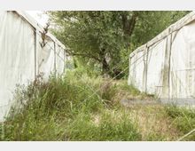 Zwei weiße Zeltwände stehen parallel zueinander, verbunden durch zahlreiche Seile. Dazwischen wächst hohes Gras, und im Hintergrund ist ein großer Baum zu sehen.