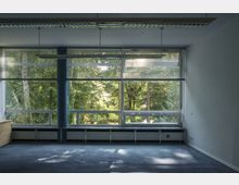 Leerer Raum mit großen Fensterfronten, durch die Bäume und grünes Laub sichtbar sind. Der Raum hat blaue Teppichböden, weiße Wände, Jalousien an den Fenstern und Deckenleuchten.