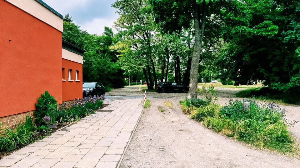 Seitenansicht eines orangefarbenen Gebäudes mit gepflastertem Gehweg und bepflanztem Beet entlang der Fassade. Daneben verläuft eine unbefestigte Zufahrt in einen baumbestandenen Grünbereich mit parkenden Autos und dichtem Laub.