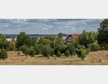 Landschaft mit einer Wiese, kleinen Bäumen und einem Fachwerkhaus mit rotem Dach im Hintergrund. Am Horizont sind eine Reihe von Windrädern sowie weitere Bäume und Gebäude zu sehen, darunter ein bewölkter Himmel.