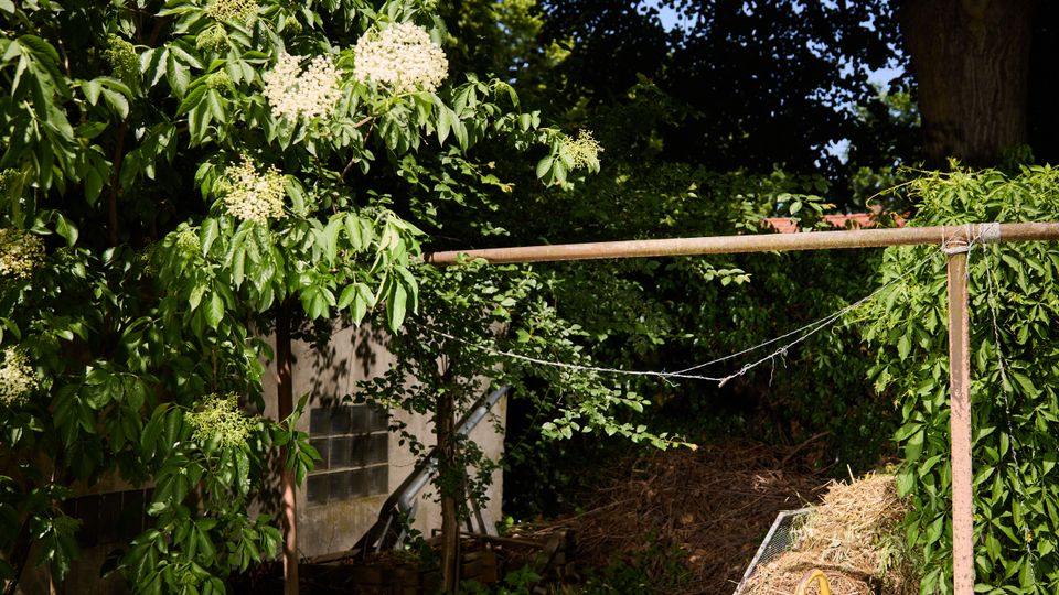 Schattiger Gartenbereich mit dichtem Laub, blühendem Strauch und einem schmalen Pfad neben einer gemauerten Wand. Im Vordergrund steht ein einfaches Metallgestell mit gespannter Leine; daneben liegt eine umgekippte Schubkarre auf einem Haufen aus Zweigen und Gartenmaterial.
