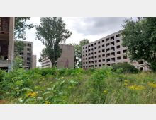 Verlassene, mehrstöckige Betongebäude mit zerbrochenen Fenstern, umgeben von dichter Vegetation und wild wachsenden Pflanzen; im Hintergrund stehen Bäume unter einem bewölkten Himmel.