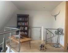 Ein heller Raum mit hellem Holzboden und einer Treppe mit Geländern aus Metall und Glas. Im Hintergrund steht ein Bücherregal, an der rechten Wand hängt eine dekorative Stierhorn-Skulptur, und daneben steht ein Standventilator. Auf dem Boden sitzt ein kleiner Hund.