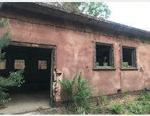 Verlassene, einstöckige Backsteingebäude mit bröckelndem, rosa-braunem Putz, einem offenen, beschädigten Eingang und zwei fensterlosen Öffnungen; umgeben von wildem Pflanzenwuchs und Bäumen im Hintergrund.