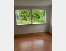 Leerer Innenraum mit hellem Laminatboden und weißen Wänden, dominiert von einem breiten Doppelfenster. Durch das Fenster ist ein grüner Garten mit dichtem Baumbestand und Sträuchern zu sehen.
