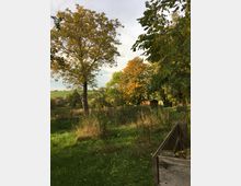 Landschaft mit einer Wiese, einzelnen Bäumen in herbstlicher Färbung und einem kleinen Holzschuppen im Hintergrund. Im Vordergrund ist ein hölzerner Kasten zu sehen, der an einem Feldrand steht.