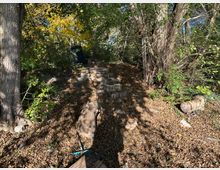 Ein bewaldeter Weg mit steinernen Stufen, flankiert von dichtem Laub und Schattenwurf durch hohe Bäume. Am Boden liegen Herbstblätter, Holzstücke und eine Harke.