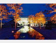 Moderne Glasfassade eines Gebäudes bei Nacht, umgeben von beleuchteten Bäumen mit gelbem Laub. Ein schmaler Wasserkanal mit Spiegelungen verläuft zentral vor dem Eingang.