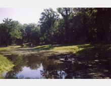 Ein kleiner Fluss oder Teich, umgeben von dichtem, grünem Wald; in der Mitte des Wassers ist ein Ruderboot mit einer Person zu sehen. Die Ufer sind mit Gras bewachsen, und das Wasser spiegelt die Bäume wider.