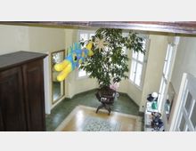 Wohnraum mit hellen Wänden und mehreren Fenstern, dekoriert mit einer großen Zimmerpflanze in der Ecke, einem kleinen Holztisch und einem großen bunten Fisch-Mobile, das von der Decke hängt. Der grün geflieste Boden ist mit einem quadratischen Teppich mit geometrischem Muster akzentuiert.