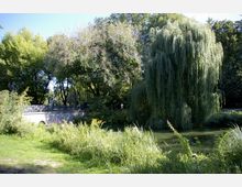Eine parkartige Landschaft mit einem kleinen Teich, umgeben von dichtem Grün, darunter eine große Trauerweide. Im Hintergrund befindet sich eine steinerne Brücke mit dekorativem Geländer.
