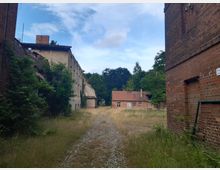 Verlassene Hofanlage mit Backstein- und verfallenen Putzgebäuden, umgeben von Bäumen und verwildertem Gras. Im Vordergrund ein gepflasterter Weg, der zwischen den Gebäuden hindurchführt.