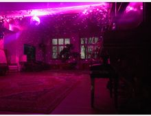 Wohnzimmer mit rosa und violetter Beleuchtung, einer Diskokugel an der Decke und reflektierenden Lichtpunkten im Raum. Sichtbar sind ein großer Teppich auf dem Boden, Pflanzen, ein Fenster mit Blick nach draußen und Möbel wie ein Stuhl und ein Klavier.