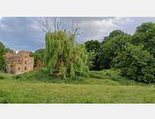 Eine verwilderte Parklandschaft mit einem alten, verfallenen Schloss im Hintergrund. Im Vordergrund steht eine große Trauerweide, umgeben von hohen Bäumen und Grasflächen unter bewölktem Himmel.