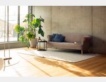 Helles Wohnzimmer im Loft-Stil mit Sichtbetonwand, großen bodentiefen Fenstern und Holzdielenboden. Vor dem Fenster stehen eine große Topfpflanze und ein kleiner runder Beistelltisch neben einem Sofa auf einem hellen Teppich.