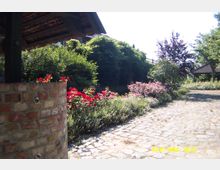 Ein gepflasterter Weg führt durch einen Garten mit blühenden Rosensträuchern und dichten Büschen, daneben ein gemauerter Brunnen mit Holzdach. Im Hintergrund stehen Bäume und eine offene Holzkonstruktion, die vermutlich als Unterstand dient.