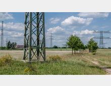 Rurale Landschaft mit einer Stromleitungsmaststruktur im Vordergrund und mehreren Hochspannungsmasten im Hintergrund. Ein unbefestigter Weg verläuft entlang einer Baumreihe, umgeben von Wiesen und vereinzelten Büschen, unter einem teils bewölkten Himmel.