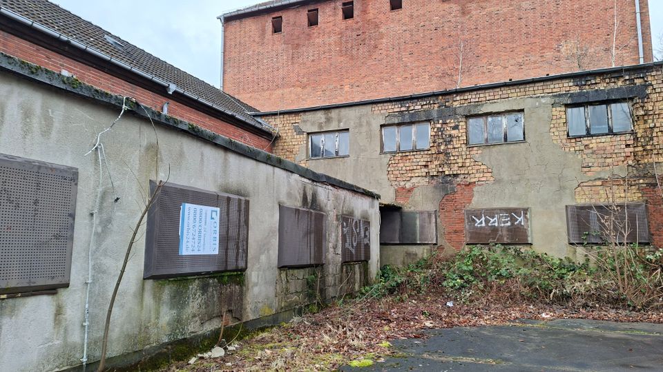 Hinterhof eines verfallenen Industrie- oder Lagergebäudekomplexes mit bröckelndem Putz, freiliegendem Ziegelmauerwerk und vergitterten Fenstern. Vor den Gebäudewänden liegen überwucherte Sträucher und Laub entlang einer teils beschädigten Asphaltfläche.
