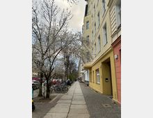 Straßenansicht mit gelben Wohngebäuden auf der rechten Seite, blühenden Bäumen links und geparkten Fahrrädern sowie Autos entlang des Gehwegs. Der gepflasterte Gehweg führt in die Tiefe und ist von weiteren Gebäuden und Bäumen gesäumt.