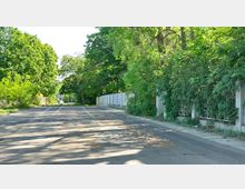 Eine asphaltierte Straße führt durch eine grüne Umgebung mit dichtem Laub und Bäumen. Rechts ist ein Zaun mit weißen Betonpfeilern und daneben rankenden Pflanzen zu sehen, während links weitere Vegetation den Straßenrand säumt.