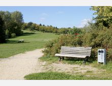 Parklandschaft mit breitem, sandigem Weg, der an einer Holzbank vorbeiführt. Rechts der Bank stehen Büsche mit roten Beeren, links ist eine offene Wiese mit weiteren Bänken und Bäumen im Hintergrund.
