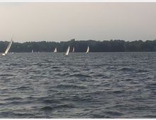 Segelboote auf einem großen See mit welliger Wasseroberfläche; im Hintergrund eine Baumreihe unter hellem Himmel.