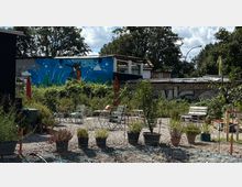 Ein Gemeinschaftsgarten mit Kiesboden, bepflanzten Töpfen und verstreuten Sitzmöbeln, umgeben von grünen Pflanzen. Im Hintergrund ist eine bemalte Wand mit einem farbenfrohen Wandgemälde eines Fuchses vor einer blauen Landschaft zu sehen, daneben eine alte Mauer mit Graffiti.