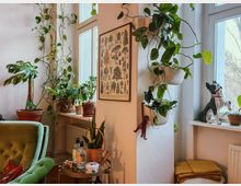 Ecke eines Wohnzimmers mit zahlreichen Zimmerpflanzen in Töpfen und hängenden Gefäßen, ergänzt durch ein botanisches Poster an der Wand. Ein grüner Sessel, ein Beistelltisch mit Flaschen und Dekogegenständen sowie eine Fensterbank mit einer Porzellanfigur und weiteren Pflanzen prägen das Bild.