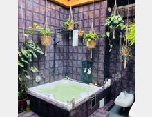 Modernes Badezimmer mit dunklen, lilafarbenen Fliesen, einem eingelassenen Whirlpool, vielen hängenden und stehenden Pflanzen für ein natürliches Ambiente, sowie einem Bidet und dekorativen Accessoires. Das Badezimmer hat ein halboffenes Design mit viel Tageslicht.