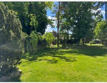 Grüne Parklandschaft mit einer Rasenfläche, umrandet von hohen Bäumen und dichten Sträuchern. Im Hintergrund sind ein kleiner Unterstand und ein offener Himmel mit einigen Wolken zu sehen.