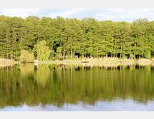 Ein ruhiger See mit klarer Wasseroberfläche, in der sich ein dichter Wald aus grünen Laubbäumen spiegelt. Am Ufer befinden sich Schilfrohre, vereinzelte Stege und einige kleine Strukturen, vermutlich Sitzgelegenheiten oder Hütten.