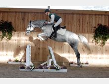Ein Reiter auf einem grauen Pferd springt über ein Hindernis in einer Reithalle mit Holzwänden. Die Szene ist von natürlichem Licht beleuchtet, und die Hindernisse sind mit Blumen dekoriert.
