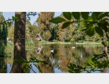 Ein kleiner See mit ruhiger Wasseroberfläche, auf der zwei Schwäne schwimmen. Im Hintergrund steht ein A-förmiges Holzhaus, umgeben von Bäumen und dichtem Grün.