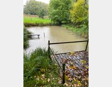 Ein kleiner Teich in einer ländlichen Umgebung, umgeben von dichten Bäumen und Grasflächen. Im Vordergrund ist eine Holzplattform mit herbstlichen Blättern, die teilweise nass wirken.