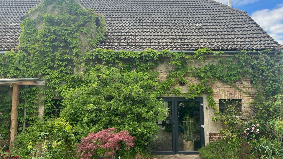 Ein altes Steingebäude mit Ziegeldach, teilweise von grünen Efeuranken überwuchert. Im Vordergrund ein gepflasterter Hof mit Pflanzen und Blumen in Töpfen, sowie ein gläserner Eingang mit schwarzem Rahmen.