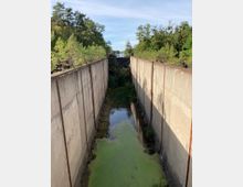 Betonkanal mit moosbewachsenem Wasser, umgeben von Bäumen und dichter Vegetation. Im Hintergrund ist eine Brücke zu sehen, die den Kanal überspannt.