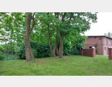 Grüne Wiese mit mehreren großen Bäumen im Vordergrund, umgeben von dichter Vegetation. Rechts im Bild steht ein rotes Backsteingebäude mit einer Mauer und Zaunelementen.