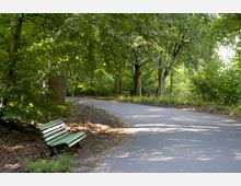 Ein geschwungener asphaltierter Weg verläuft durch einen grünen, schattigen Wald mit hohen Bäumen. Am Rand steht eine grüne Parkbank, umgeben von Laub und Erde.