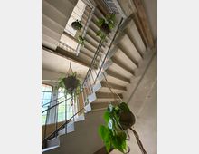 Ein Treppenhaus mit schmalem Metallgeländer und Betonstufen, dekoriert mit mehreren hängenden Pflanzen in Töpfen. Im Hintergrund sind große Fenster mit Sprossen, die Tageslicht hereinlassen.